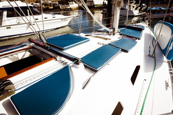 Private Sailboat tour in Cabo San Lucas with Papillon Yachts - Is $800 a good value?