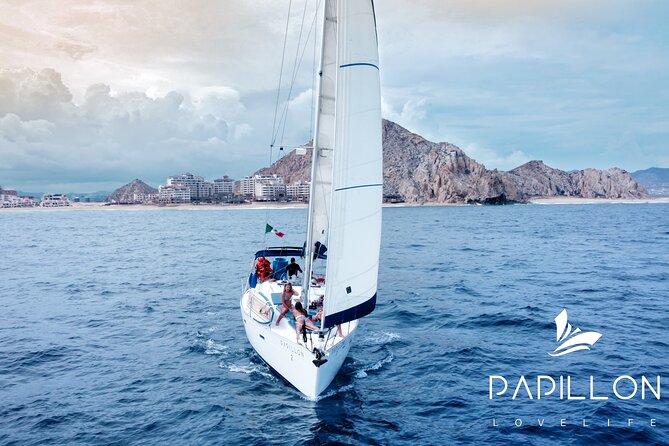 Private Sailboat tour in Cabo San Lucas with Papillon Yachts - Seeing the Arch and Cabo’s sea lions