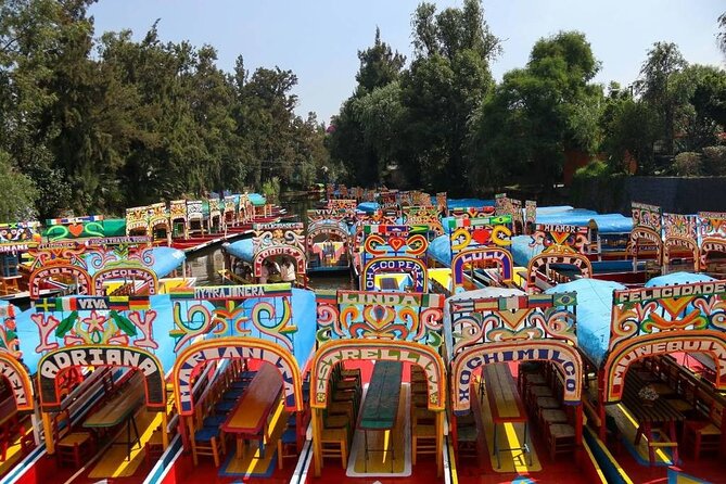 Private/Shared Tour Xochimilco Coyoacán optional Frida Kahlo - Key points to know before booking