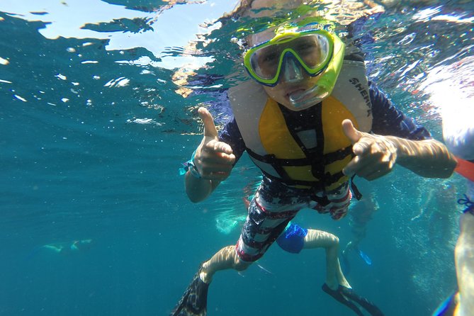 Private Snorkeling Tour in Cabo San Lucas - Two hours at Pelican Rock