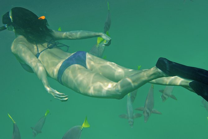 Private Snorkeling Tour in Cabo San Lucas - Timing, weather, and cruise ship planning