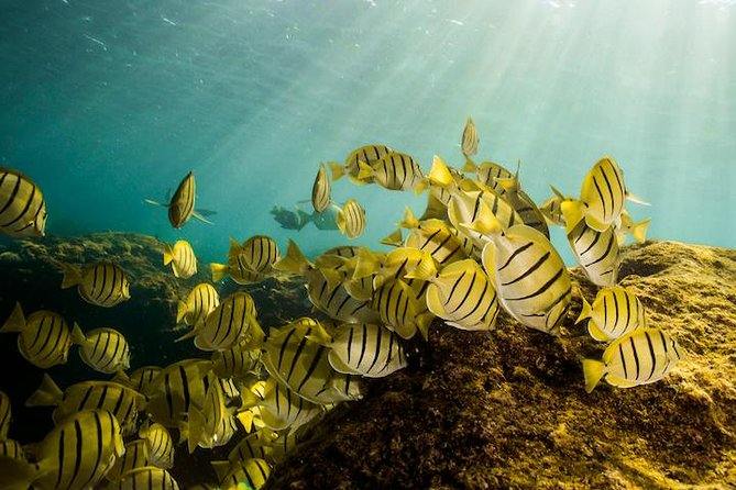 Private Snorkeling Tour in Cabo San Lucas - The Arch gives you a classic Cabo opening