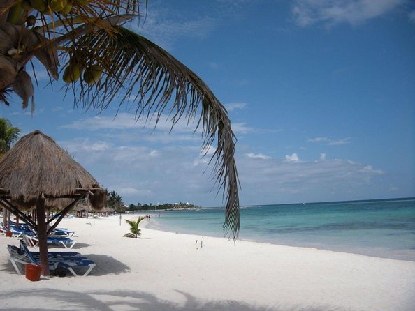 Private Snorkeling with Sea Turtles in Akumal Beach - Key points at a glance