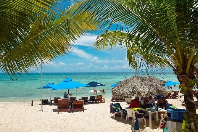 Private Tour: 5-Hour Cozumel Sightseeing with Private Driver and Tequila Tasting - San Gervasio: The Stop Worth Paying Extra For