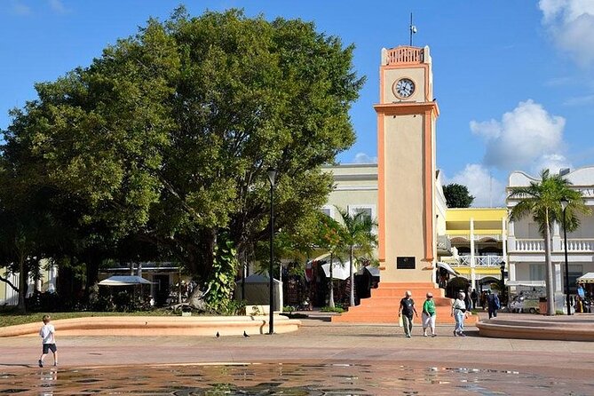 Private Tour: 5-Hour Cozumel Sightseeing with Private Driver and Tequila Tasting - El Mirador and Cozumel’s Windy East Coast