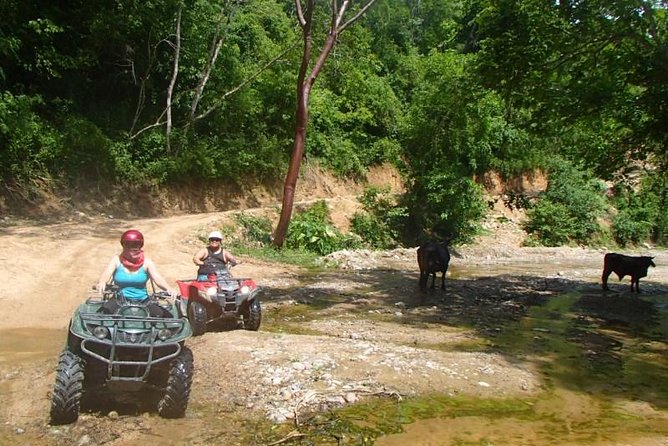 Private Tour: ATV SIERRA MADRE rivers with Tequila Tasting - Who should book this ride?