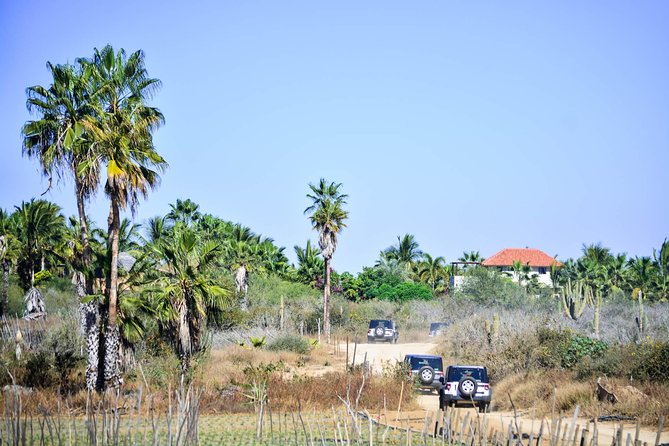 Private Tour Baja Jeep 4x4 Adventure at Los Cabos - Fox Canyon and the waterfall at Sol de Mayo