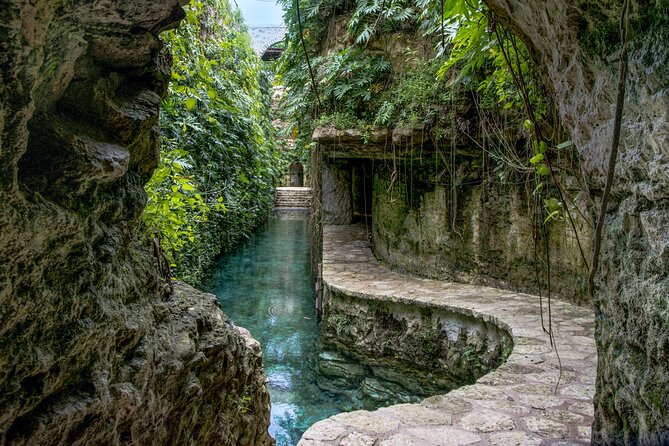 Private Tour Cenotes of Mucuyche & Santa Barbara in one day - Who will enjoy this outing most