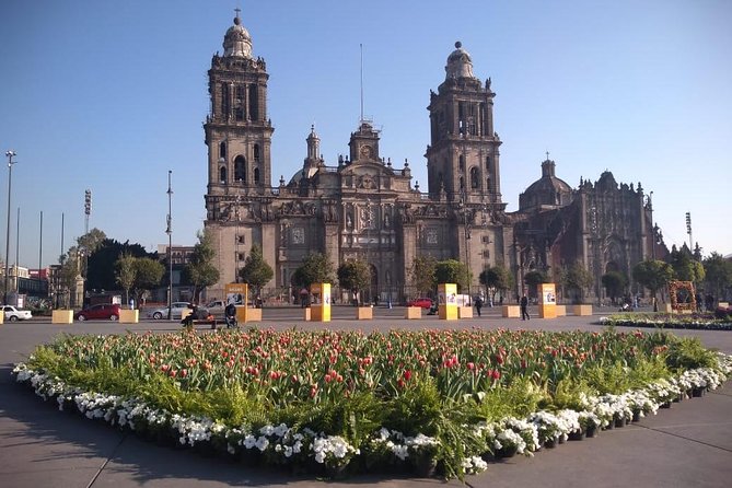 Private Tour of Mexico City with Anthropology - One half-day, two very different Mexico Cities