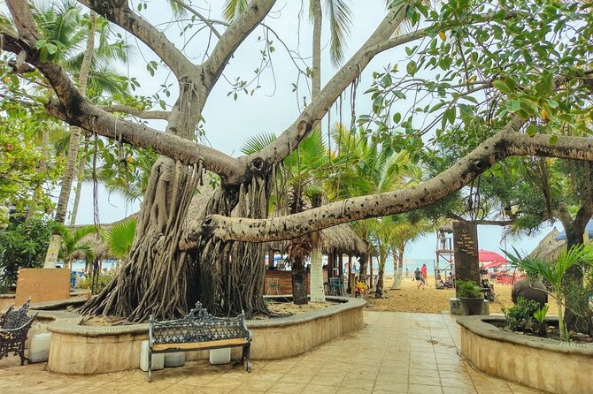 Private Tour, Sayulita & San Pancho - Why San Pancho Should Come First