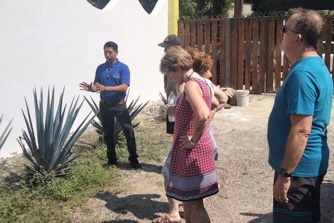 Private Tour, Sayulita & San Pancho - Extra Stops and Local Tastes
