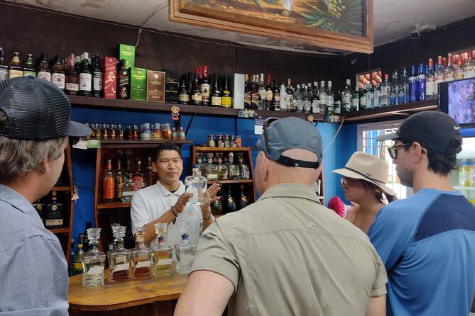 Private Tour, Sayulita & San Pancho - Transport, Comfort, and Pace