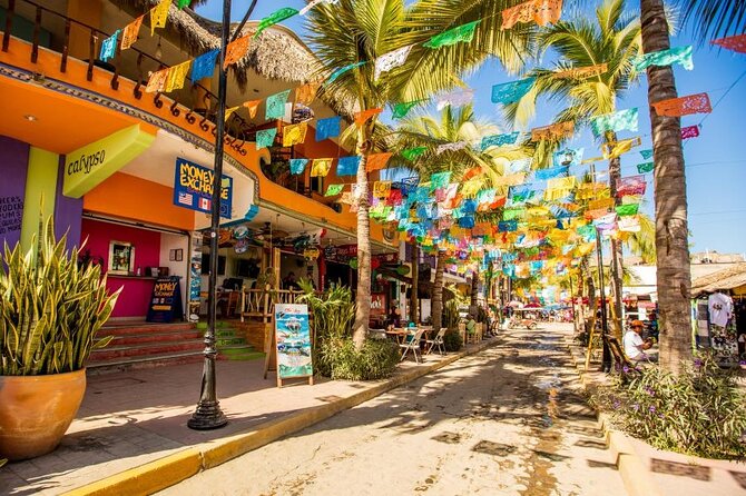 Private Tour, Sayulita & San Pancho - Sayulita’s Streets, Market, and Surf-Town Energy