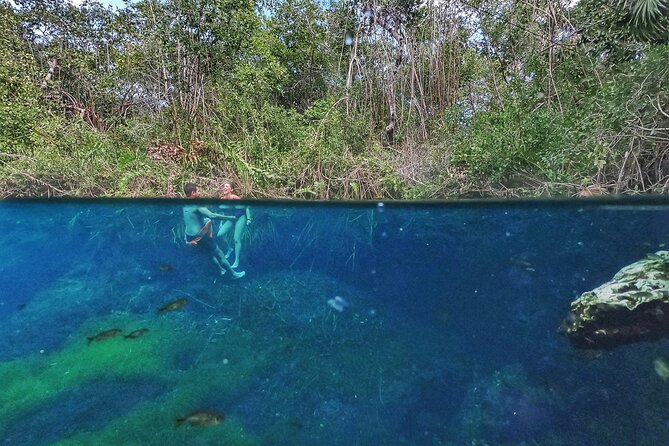 Private Tour The Best Cenotes in Tulum Riviera Maya - Xunaan Ha: open-air swimming and a little freedom