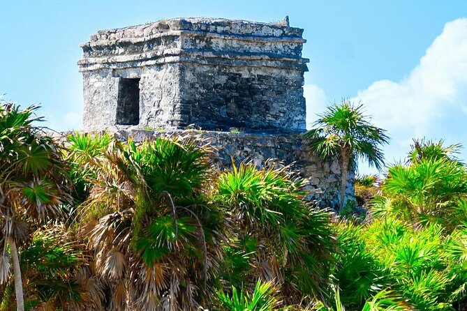 Private Tour to Tulum, Cenote and Swimming with Turtles - What $410 per person really buys