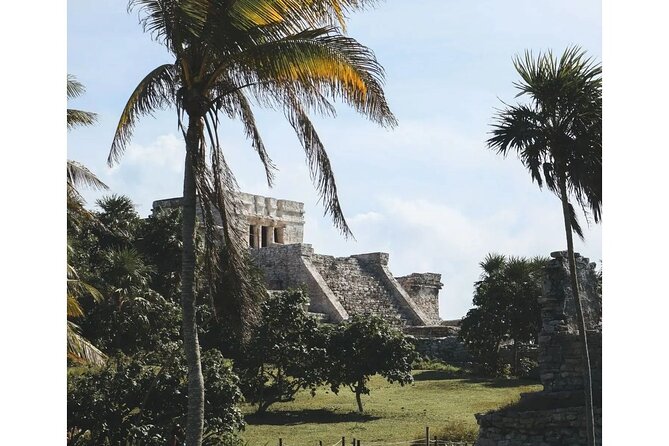 Private Tour to Tulum, Cenote and Swimming with Turtles - Searching for turtles at Akumal Bay
