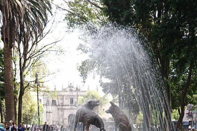 Private Tour: Xochimilco, Coyoacan and Frida Kahlo Museum - How to make the six hours work better