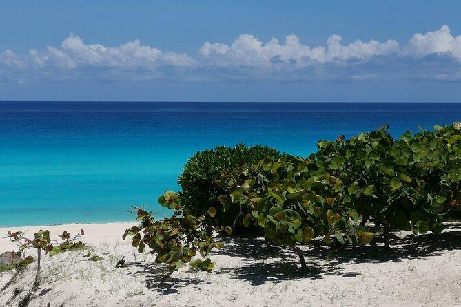 Private Transfer-Cancun Airport-Playa del Carmen One Way - From Cancun arrivals to the Riviera Maya road