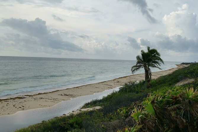 Private Transfer-Cancun Airport-Playa del Carmen One Way - Why communication is part of the value
