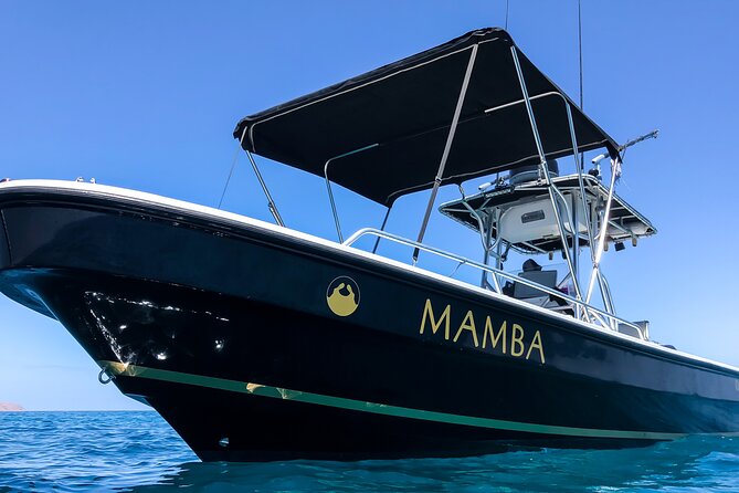 Private Trip Espiritu Santo Island - Why This Espíritu Santo Trip Feels Different