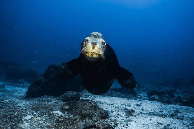 Private Trip Espiritu Santo Island - What the Private Price Buys You