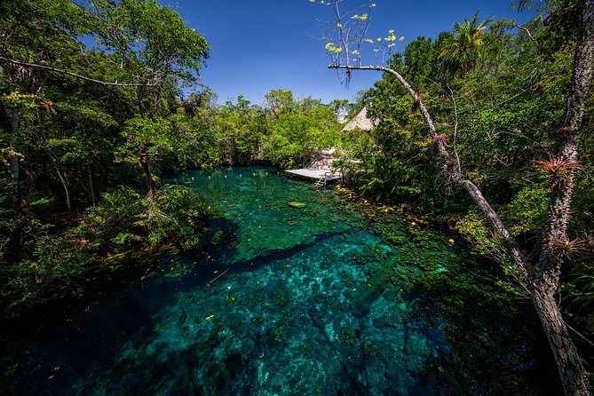 Private - Tulum Ruins and 3 Cenotes Jungle Adventure - Why the private format costs so much