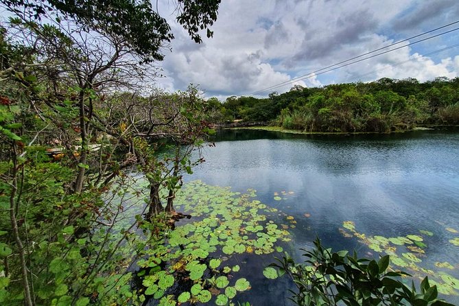 Private - Tulum Ruins and 3 Cenotes Jungle Adventure - Timing, transport, and the eight-hour promise