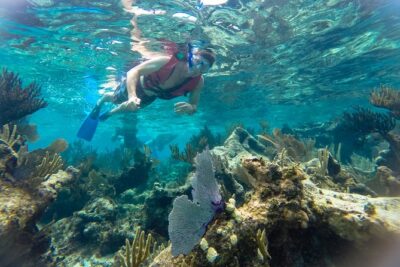 Private Tulum Ruins, Reef Snorkel & Cenote Adventure