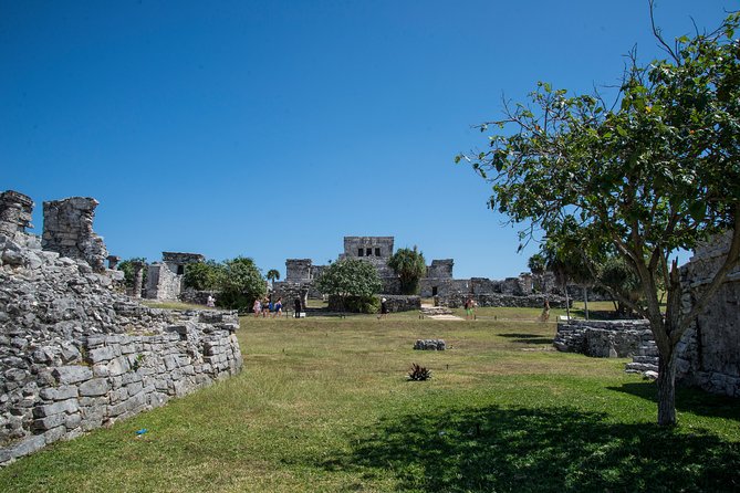 Private Tulum Ruins, Turtles in Akumal and Cenote Adventure - Lunch, equipment, and practical comforts