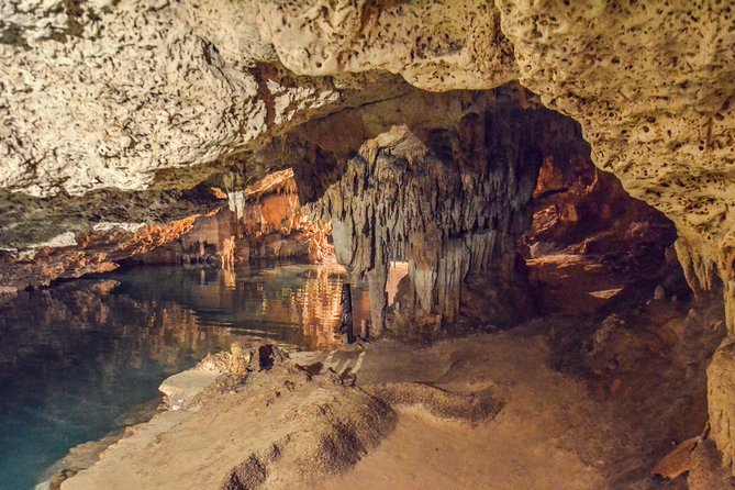 Private Tulum Ruins, Turtles in Akumal and Cenote Adventure - Who will enjoy this tour most