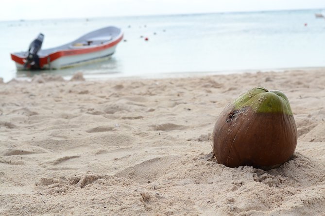 Private Turtles & Cenotes Adventure - Two very different waters in five hours