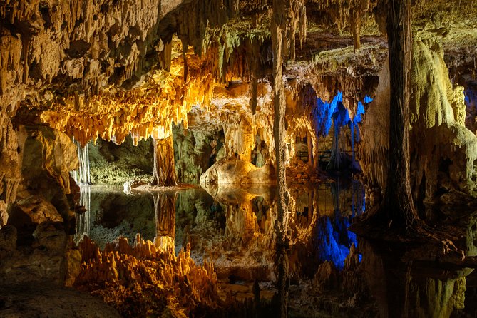Private Turtles & Cenotes Adventure - Should you book the Turtle and Cenotes Adventure?