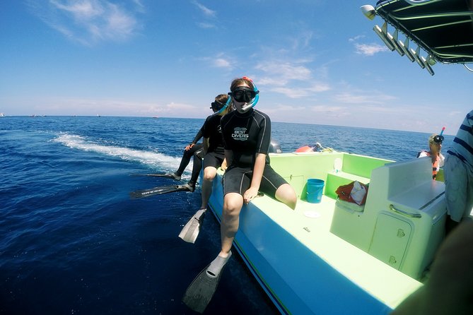 Private Whale Shark All Inclusive Experience - Swimming beside wild whale sharks