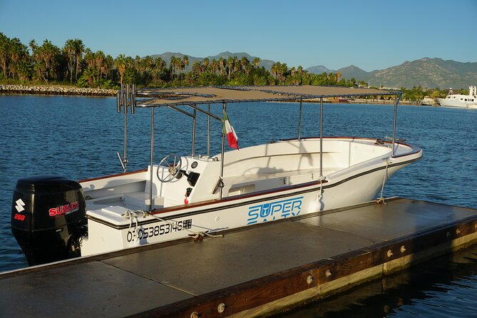 Private Whale Watching in San José del Cabo - Why this private whale trip feels different