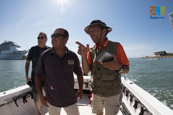 Private Whale watching Puerto Vallarta - Searching Banderas Bay for whales