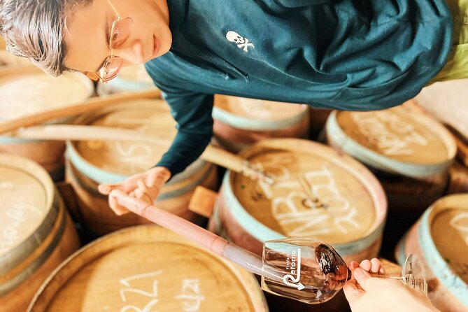 Private Wine Tour at Valle de Guadalupe (A wine tasting included). - A private route through Baja wine country