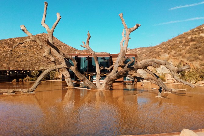 Private Wine Tour at Valle de Guadalupe (A wine tasting included). - Your second and third stops are the flexible part