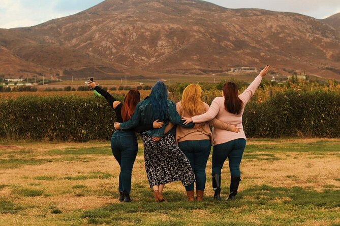 Private Wine Tour at Valle de Guadalupe (A wine tasting included). - Guides make the day easier