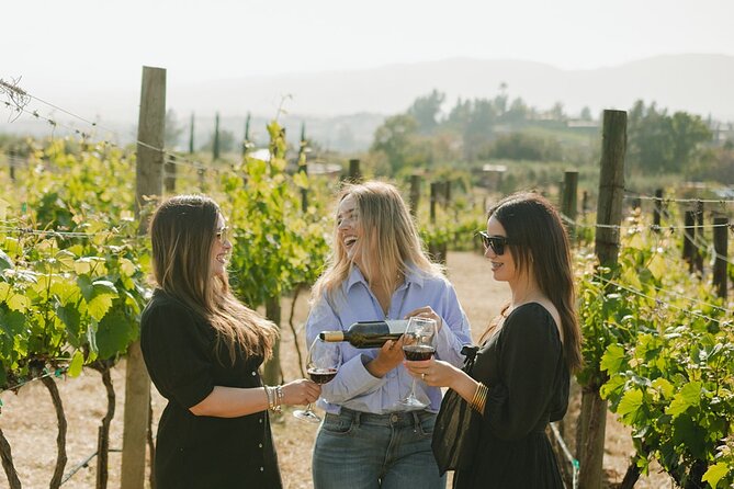 Private Wine Tour by Ansell Tours - Finca La Carrodilla: wine with an organic farm setting