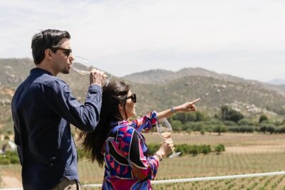 Private Wine Tour by Ansell Tours