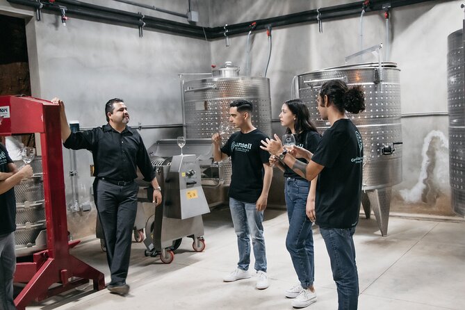 Private Wine Tour by Ansell Tours - Vena Cava: creative design and a lively final stop