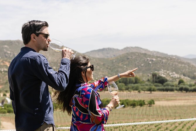 Private Wine Tour by Ansell Tours - Viña de Frannes: expansive views and Mexican wines