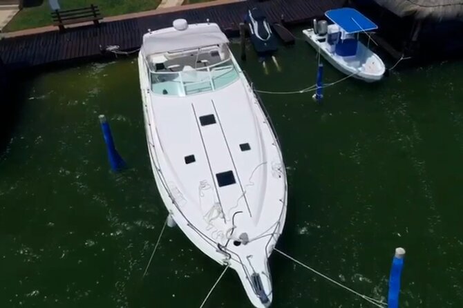 Private Yacht 46ft Sea Ray Snorkel up to 15 pax 23P2 - The Yacht, Crew, and Service