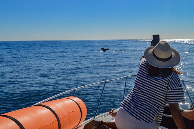 Private Yacht, Snorkeling or Sunset in Cabo San Lucas - The Arch of Cabo San Lucas in 30 minutes