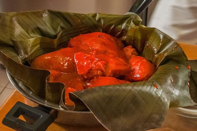 Private Yucatecan Cooking Class in Merida at Sofia’s Home Kitchen - A Yucatecan cooking class inside Sofia’s home
