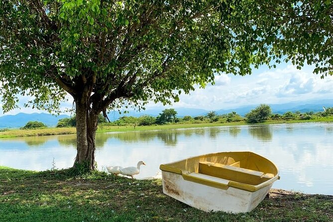 Pueblos Cultural Tour - San Juan de Abajo turns food into the main event