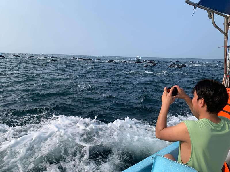 Puerto Escondido: Boat Tour to see Dolphins and Marine Life - Key points at a glance
