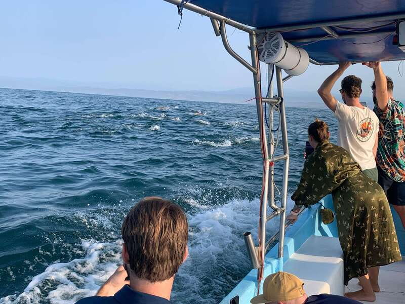 Puerto Escondido: Boat Tour to see Dolphins and Marine Life - From Puerto Angelito to the open Pacific