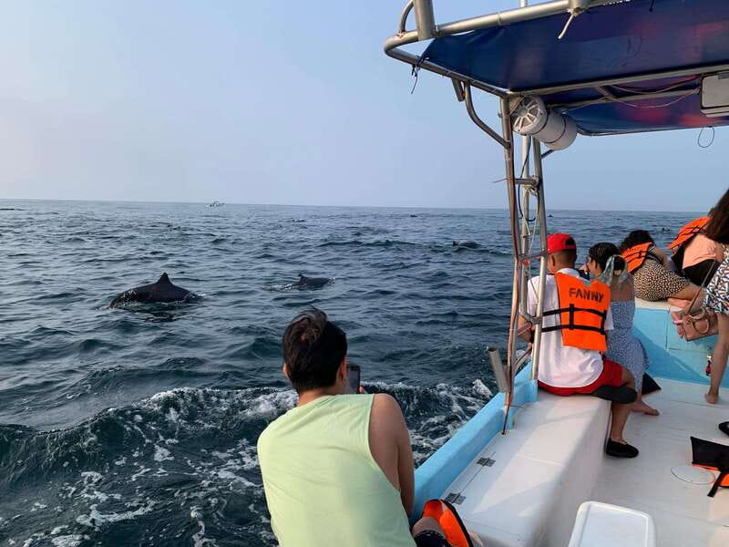 Puerto Escondido: Boat Tour to see Dolphins and Marine Life - Getting in the water and snorkeling near shore
