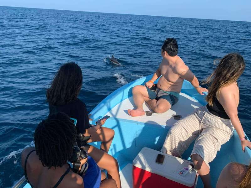 Puerto Escondido: Boat Tour to see Dolphins and Marine Life - Is $46 a fair price?